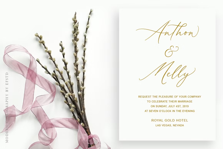 Aerotis Font free download preview 1 – Calligraphy Fonts font