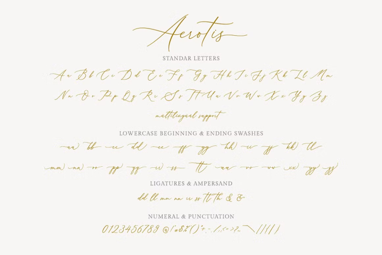 Aerotis Font free download preview 5 – Calligraphy Fonts font