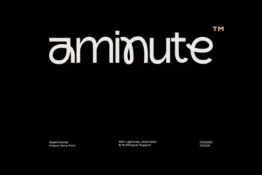 Aminute Font free download – Packaging font preview