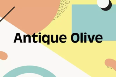 Antique Olive Font free download – Traditional font preview