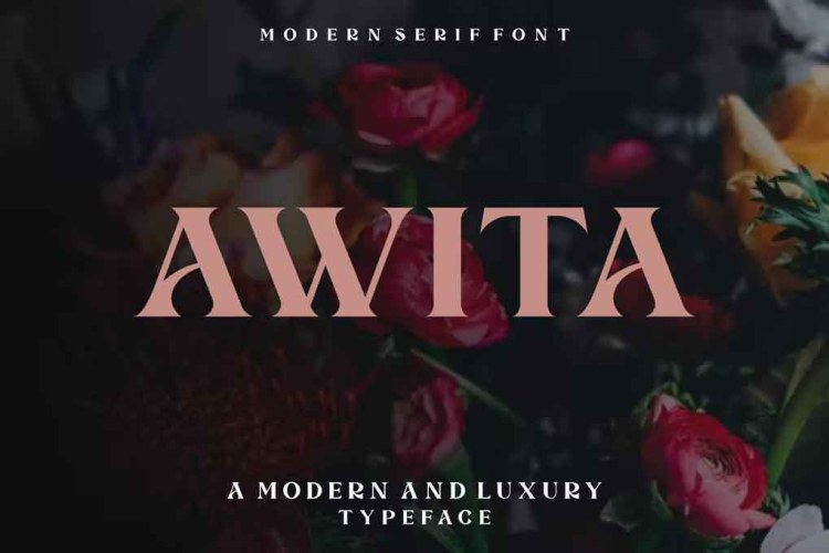 Awita Modern Serif Font free download preview 3 – Serif Fonts font