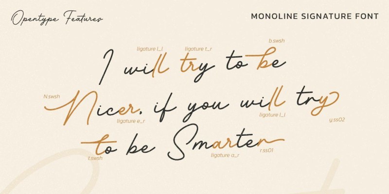 Barethelly Signature Font free download preview 5 – Script And Handwritten font