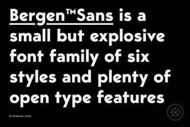 Bergen Sans Font free download – Contemporary font preview