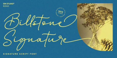 Billstone Signature Font free download – Script And Handwritten font preview