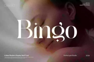 Bingo Font free download – Packaging font preview
