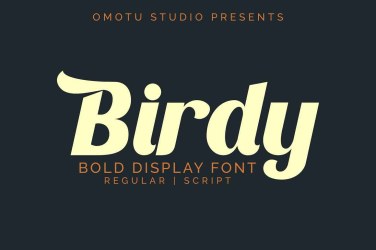 Birdy Font free download – Birdy Font font preview