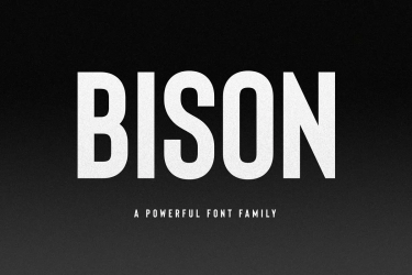 Bison Font free download – Sans Serif Fonts font preview