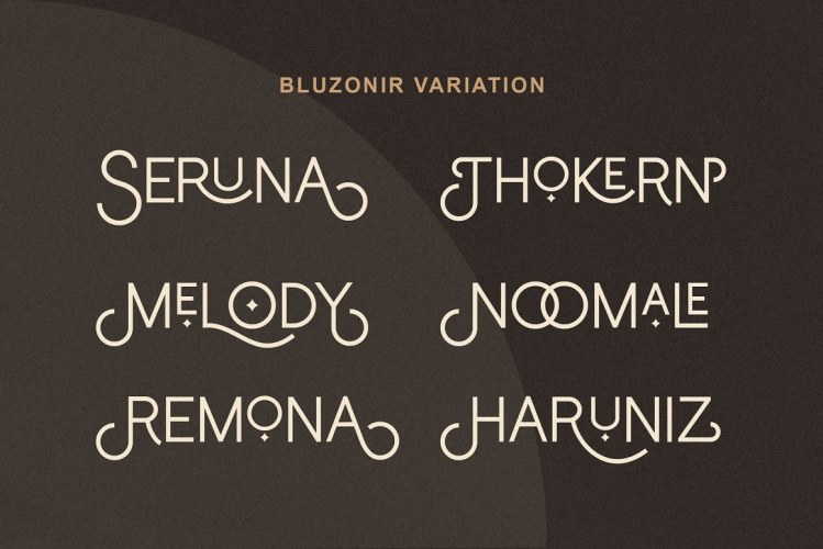 Bluzonir Stylish Sans Serif Font free download preview 1 – Web Fonts font