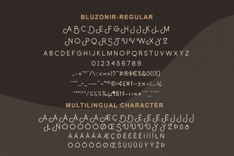 Bluzonir Stylish Sans Serif Font free download preview 3 – Web Fonts font