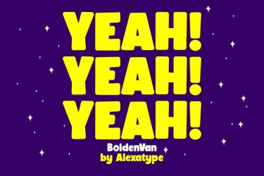 BoldenVan Chubby Children Font free download – Serif Fonts font preview
