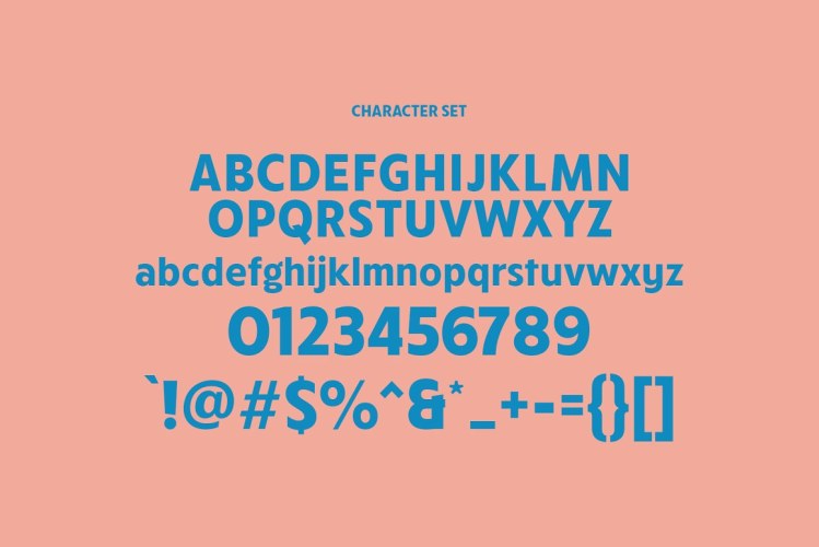 Bolga Display Sans Serif Font free download preview 4 – Display Fonts font