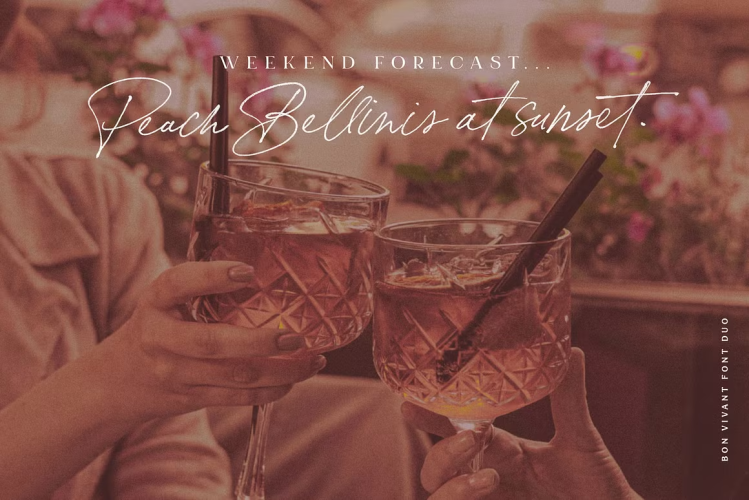 Bon Vivant Font free download preview 8 – Script And Handwritten font