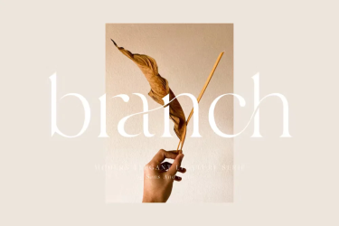 Branch Font free download – similar font preview