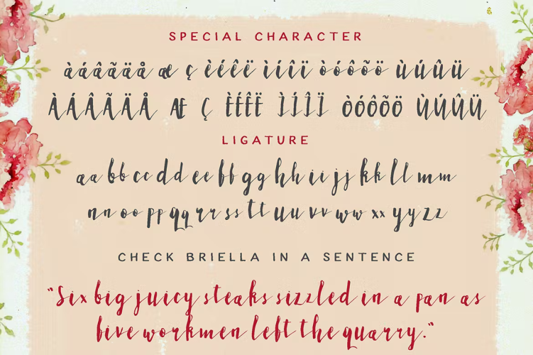 Briella Font free download preview 1 – Serif Fonts font