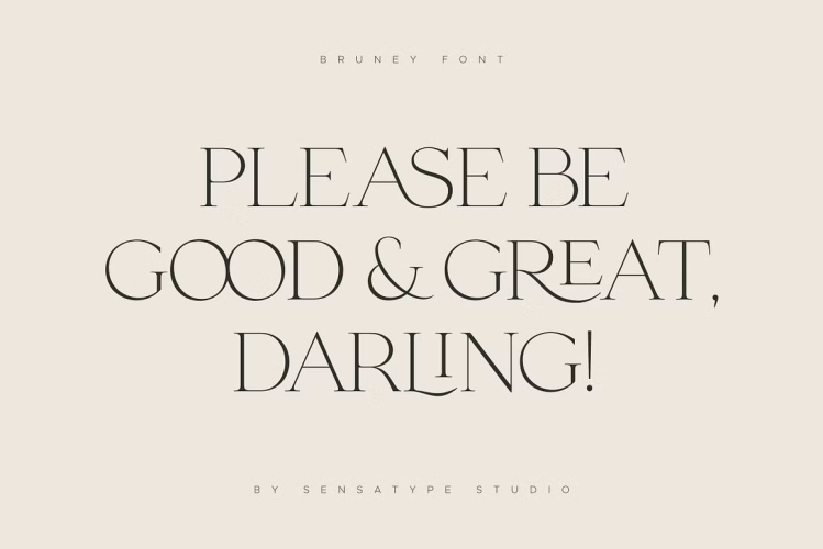 Bruney Font free download preview 4 – Serif Fonts font