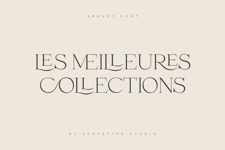 Bruney Font free download preview 7 – Serif Fonts font