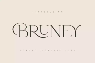 Bruney Font free download – Bruney Font font preview