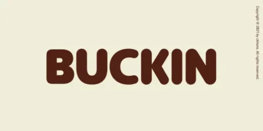 Buckin Font free download preview 4 – Sans Serif Fonts font