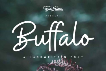 Buffalo Font free download – Buffalo Font font preview