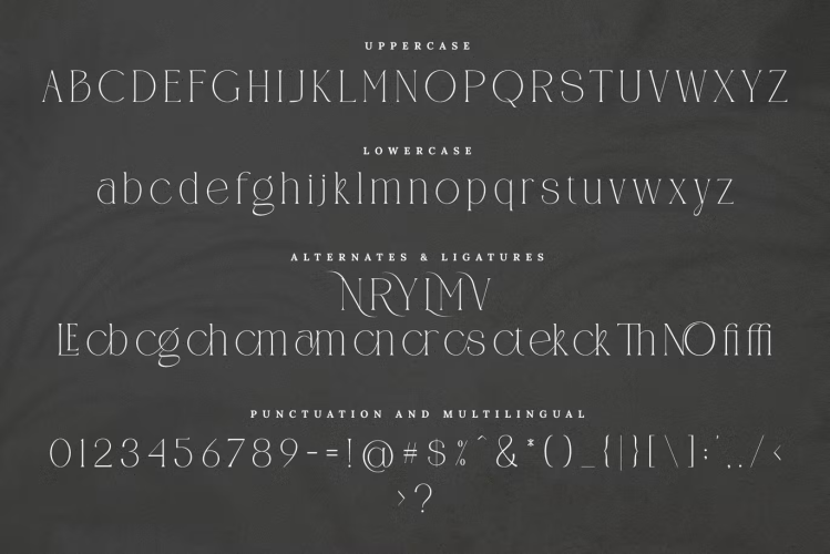 CANOVER Ligature Font free download preview 3 – Serif Fonts font