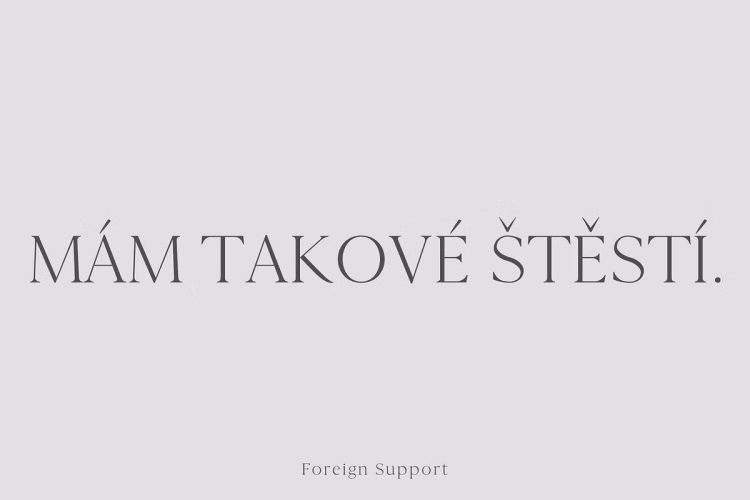 Cammron Font free download preview 3 – Serif Fonts font
