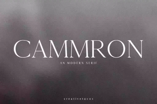 Cammron Font free download preview 6 – Serif Fonts font