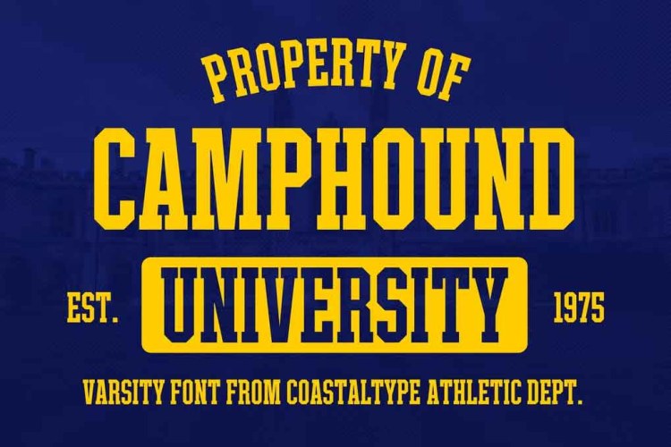 Camphound Font free download preview 3 – Serif Fonts font