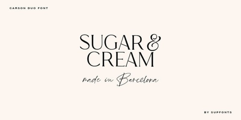 Carson Font Family free download preview 9 – Serif Fonts font