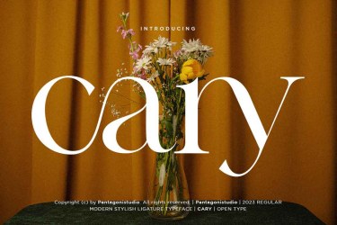 Cary – Classy Serif Font free download – Serif Fonts font preview
