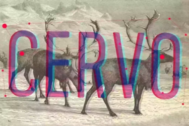 Cervo Font free download – Cervo Font font preview