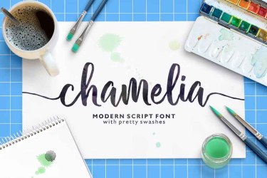 Chamelia Script Font free download – Script And Handwritten font preview