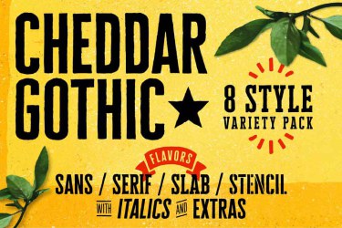 Cheddar Gothic Font Family free download – Packaging font preview