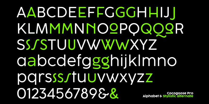Cocogoose Font free download preview 9 – Sans Serif Fonts font