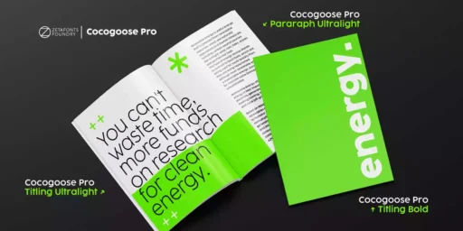 Cocogoose Font free download preview 10 – Sans Serif Fonts font