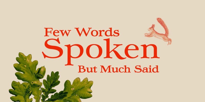 Ekorre Font Family free download preview 4 – Serif Fonts font