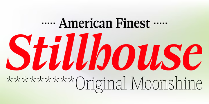 Elvira Serif Font Family free download preview 9 – Serif Fonts font