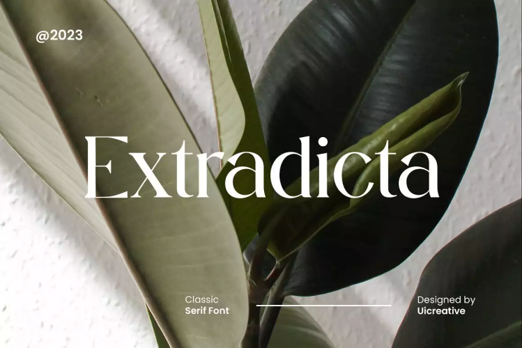 Extradicta Classic Serif Font free download preview 6 – Serif Fonts font