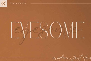 Eyesome Font free download – Serif Fonts font preview