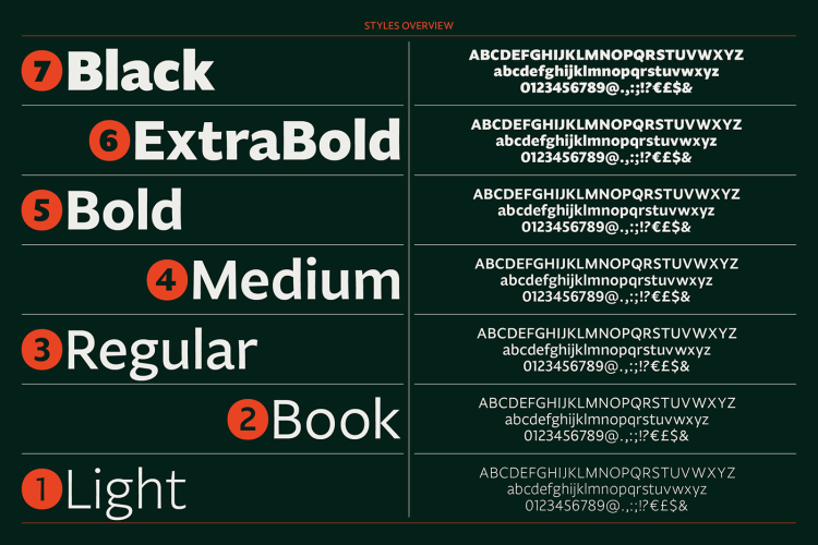 Fagun Font Family free download preview 1 – Sans Serif Fonts font