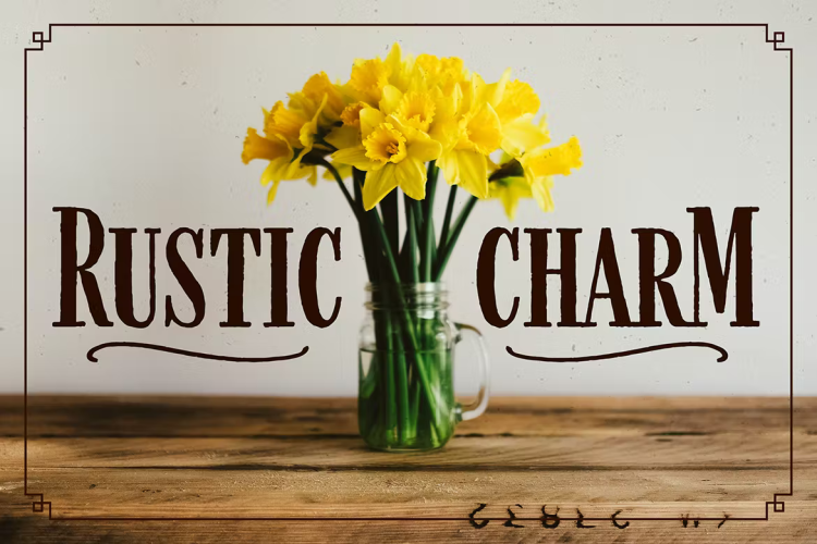 Farmhand Font Family free download preview 1 – Serif Fonts font