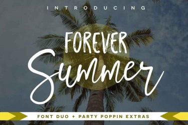 Forever Summer Font Duo free download – Script And Handwritten font preview