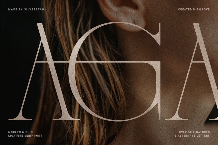 French Voyager Font free download preview 1 – Serif Fonts font