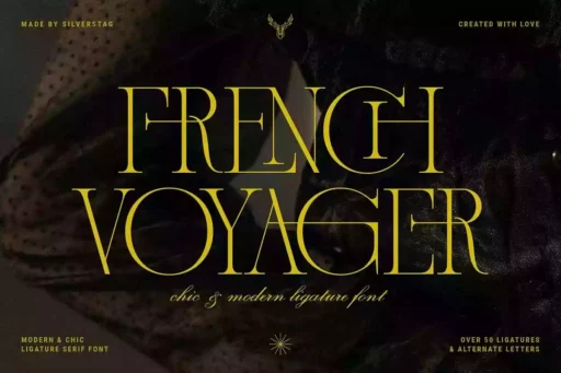 French Voyager Font free download preview 5 – Serif Fonts font