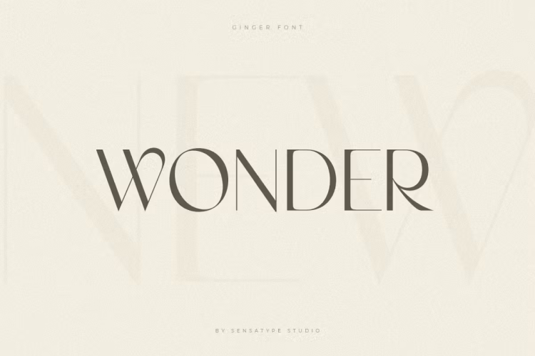 Ginger Font free download preview 4 – Serif Fonts font