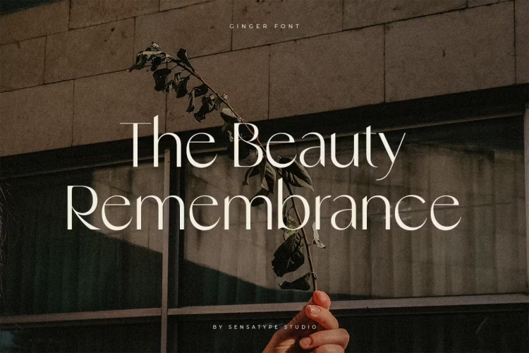 Ginger Font free download preview 5 – Serif Fonts font