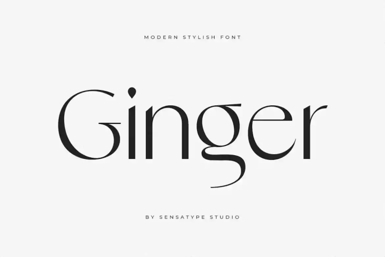 Ginger Font free download preview 8 – Serif Fonts font