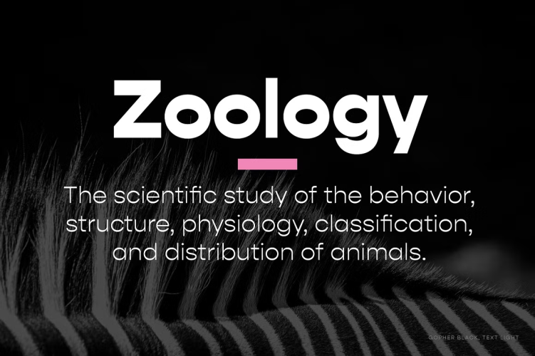 Gopher Font free download preview 7 – Font Family font