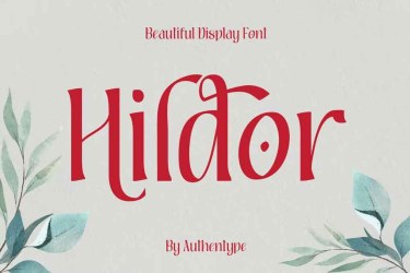 Hildor Beautiful Display Font free download – Nbsp font preview