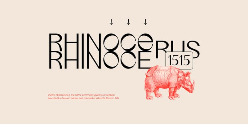IF Durer Display Font free download preview 9 – Modern Fonts font