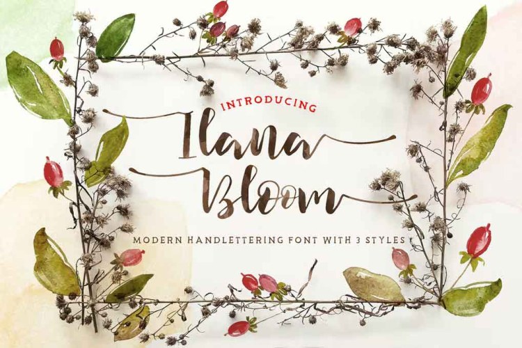 Ilana Bloom Font free download preview 3 – Sans Serif Fonts font